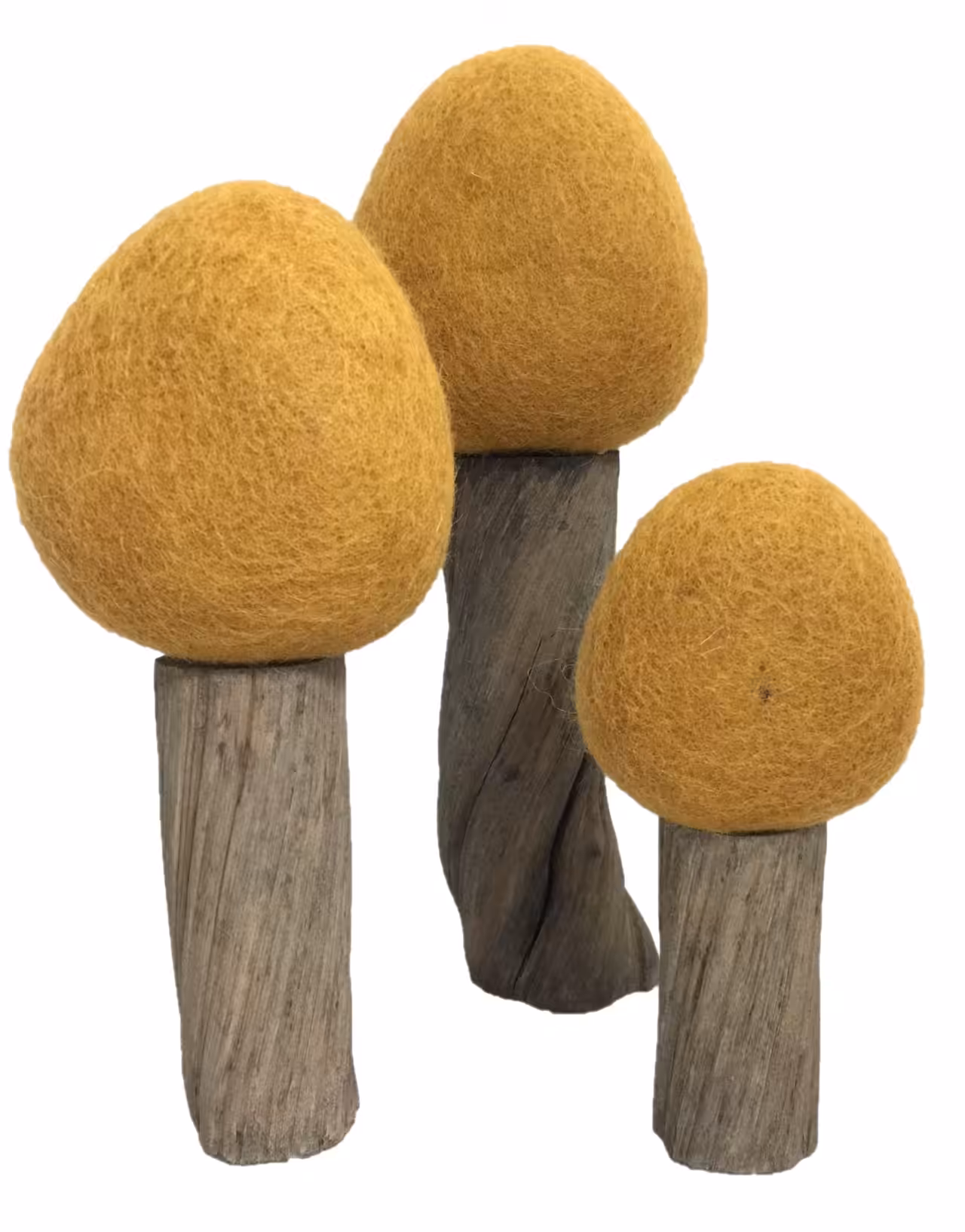 Wood Spielen Kinder Wald Bäume Jahreszeiten