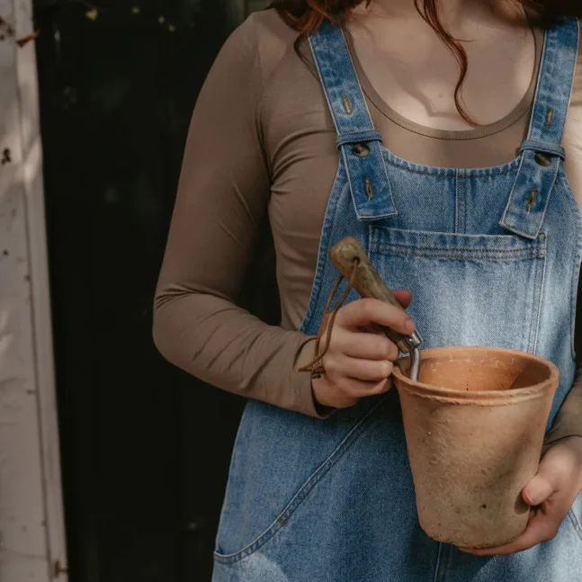 The everyday top von the simple folk