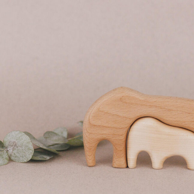 Puzzle en bois pour les petits enfants par Tateplota