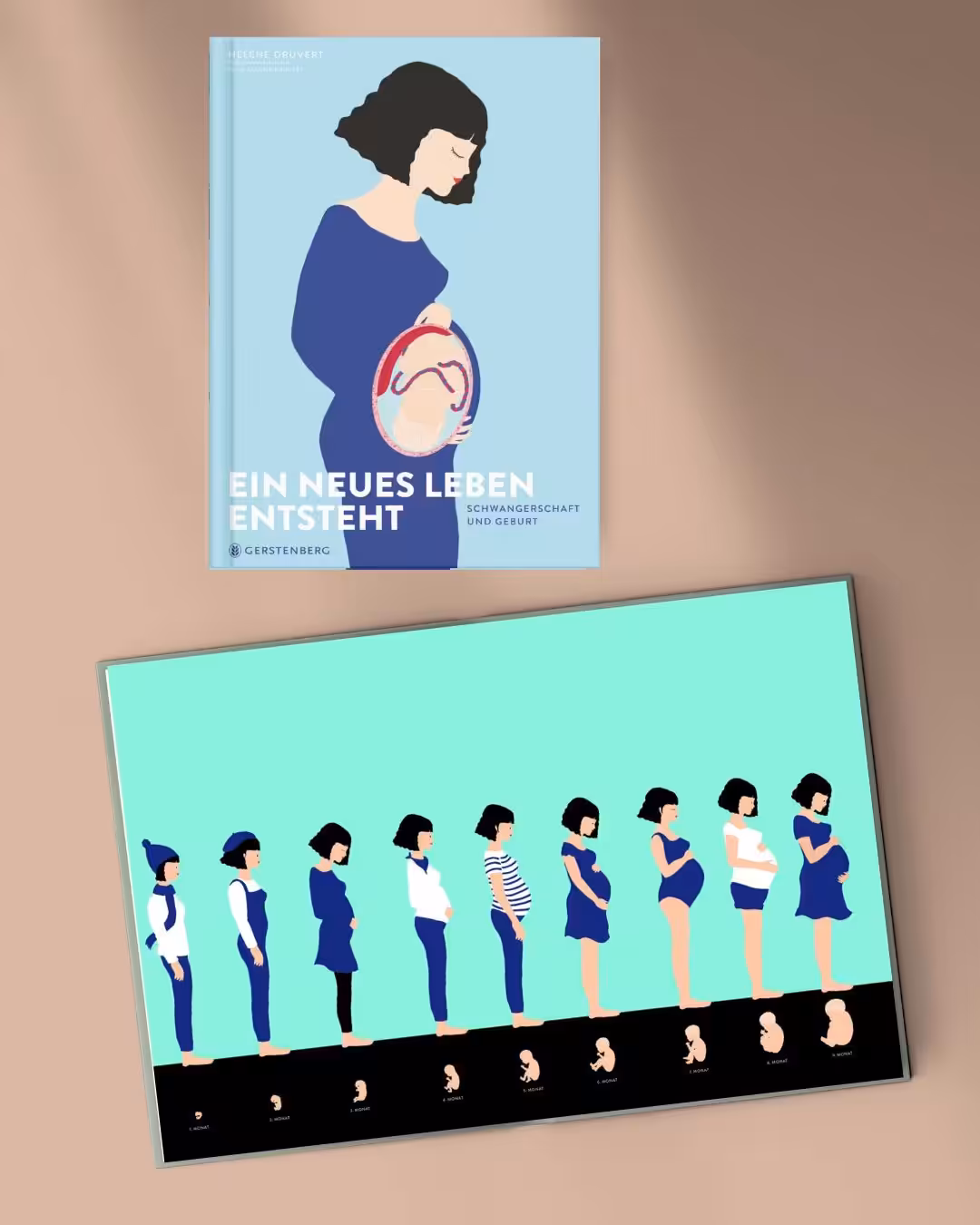 Livre d'images Ein neues Leben entsteht; auteur Hélène Druvert, Gerstenberg Verlag