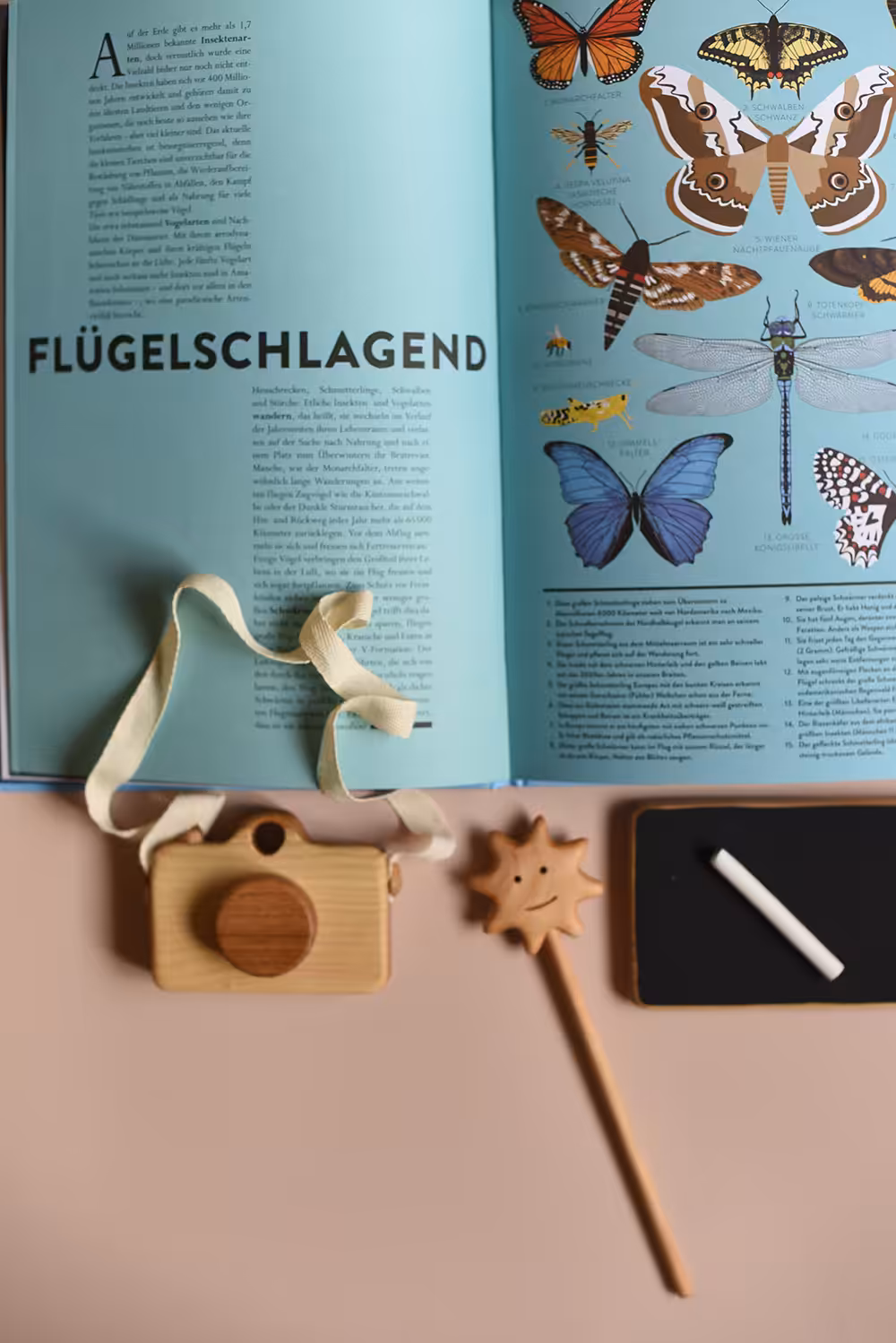 Bilderbuch Wolken, Luft und Sterne; Autorin Hélène Druvert, Gerstenberg Verlag