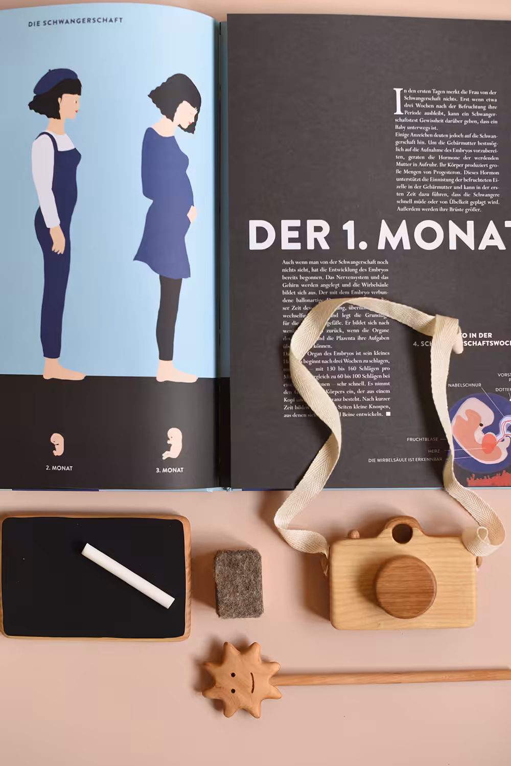 Bilderbuch Ein neues Leben entsteht; Autorin Hélène Druvert, Gerstenberg Verlag