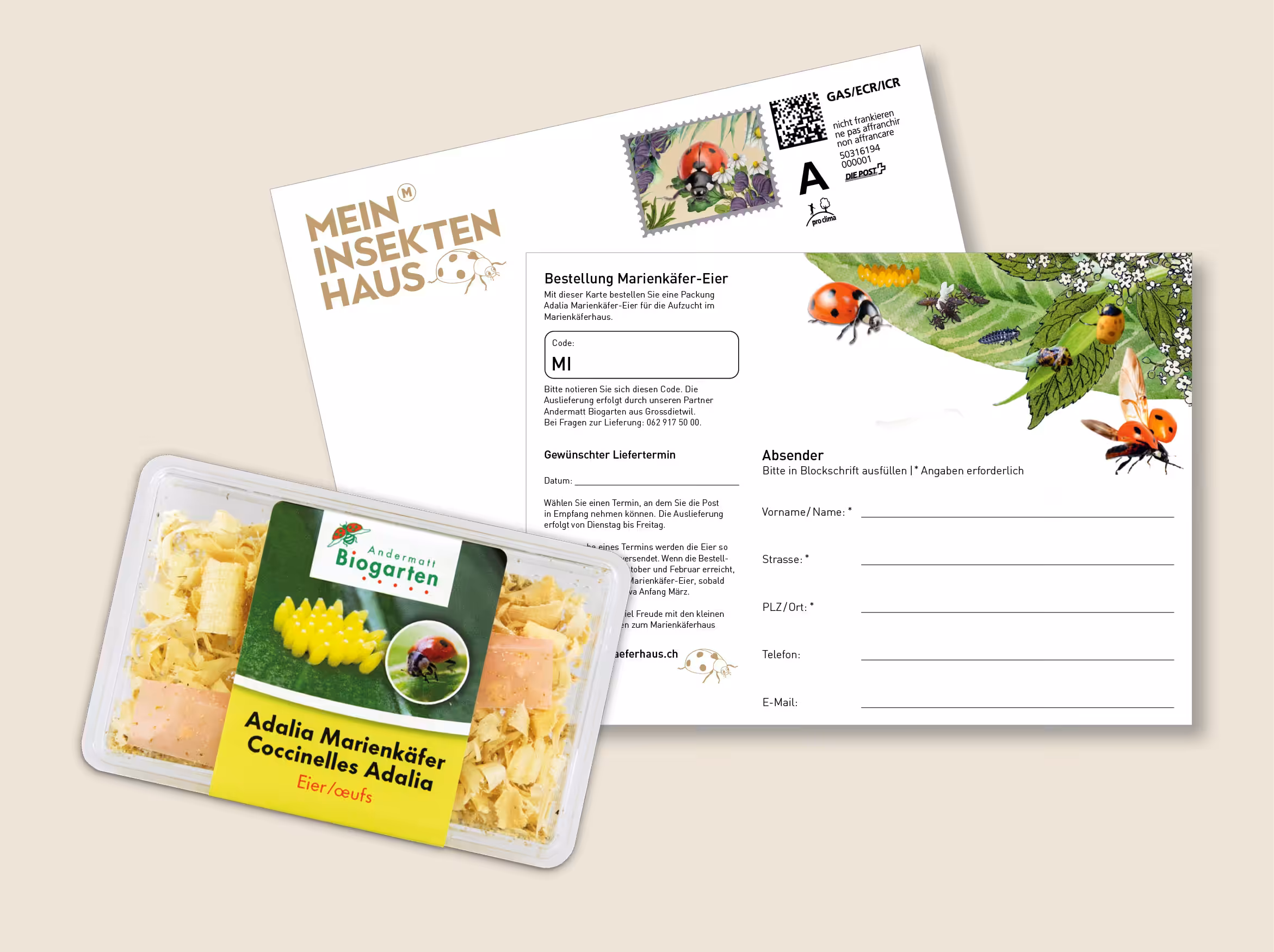 Bezugskarten für Marienkäfer-Eier/Futter.
