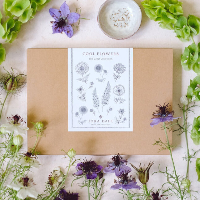 Graines collection par Jora Dahl