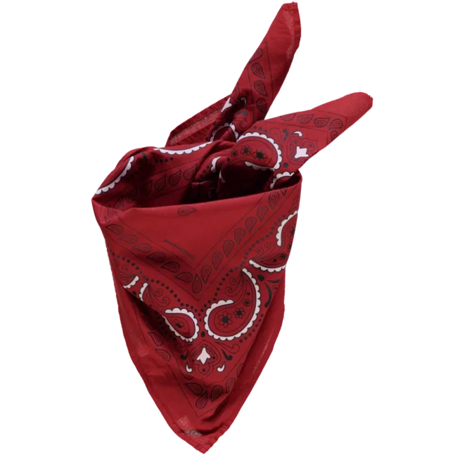 Bandana Halstuch Equestrian Red von poudreorganic