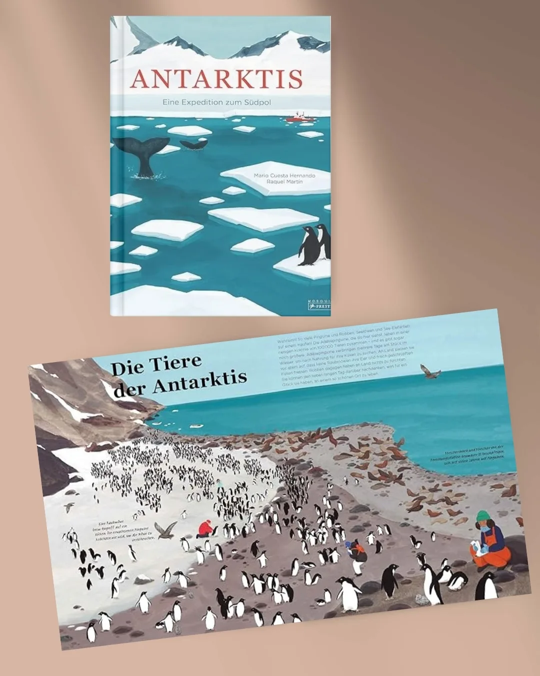 Antarktis: Eine Expedition zum Südpol